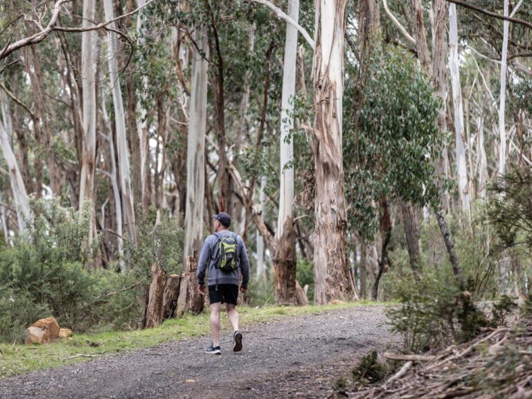 Hanging Rock Views