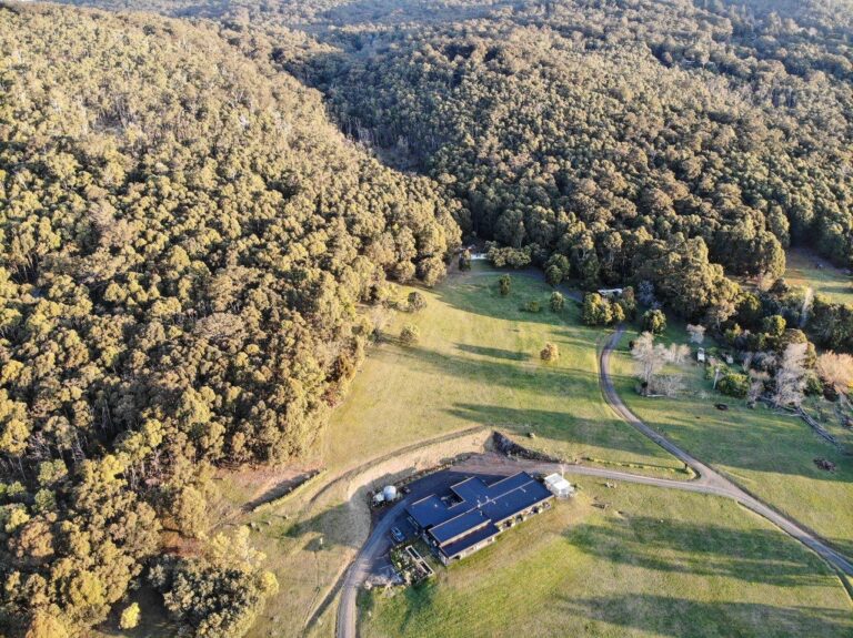 Hanging Rock Views