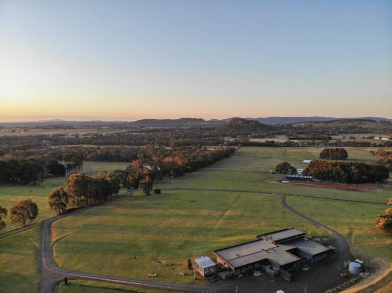 Hanging Rock Views