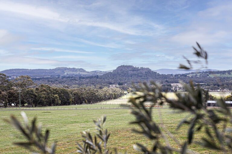 Hanging Rock Views